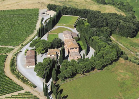 Altesino Brunello di Montalcino 2019 750ml